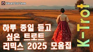 트로트메들리모음 신나는 트로트 히트곡모음  최신 트로트 모음  하루 종일 듣고 싶은 트로트 리믹스 2025 모음집
