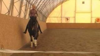 Dressage training with Arthur Kottas-Heldenberg