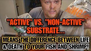 ACTIVE vs. NON-ACTIVE Substrates + ANOXIC vs. AEROBIC Aquasoils: WHAT YOU NEED TO KNOW.