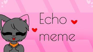 _echo meme_[my versao dog]