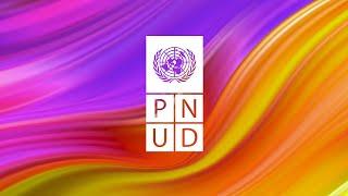 Informe Anual 2019 del PNUD