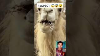 Respect and entertainment shorts #shortvideo #shorts #respect #reaction #trending #entertainment