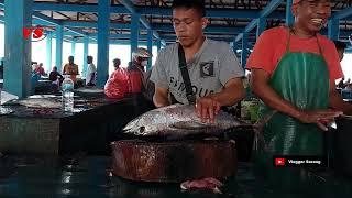 Amazing ! Fresh Tuna Cutting by Three Great Butchers Sorong