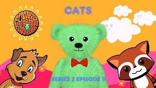 Funky the Green Teddy Bear – Cats. Preschool Fun for Everyone! Series 2 Episode 11