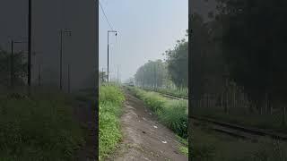 Train vs my favourite watch ⌚️ #train #trainhorn #train #trainvoice #railway #tiktok #ytshort