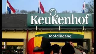 TULIPA GARDEN, KEUKENHOF, HOLLAND