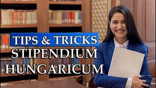 Stipendium Hungaricum: My tips and tricks as a Committee Member & Scholarship Holder / 2025-2026