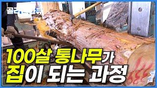 바다 건너온 100살 편백나무를 얇게 썰어 이동식 목조 주택으로 만드는 과정│극한직업│#골라듄다큐