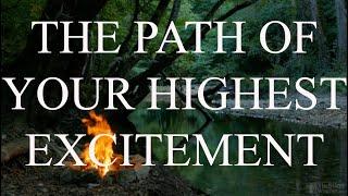 Bashar | The Path Of Your Highest Excitement