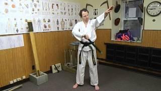 Grandmaster Justin Powell Demonstrates Bamboo Bundle Training