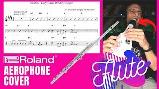 Shallow - Lady Gaga/Bradley Cooper - Aerophone Cover (Flute)