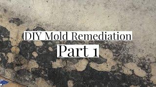 We fired our mold remediation company!!