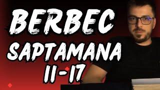 BERBEC 11-17 , HOROSCOP BERBEC SAPTAMANAL , TAROT BERBEC SAPTAMANAL, PREVIZIUNI BERBEC , PREDICTII