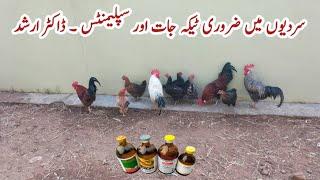 Important Winter Injections and Supplements for Poultry Birds | Dr. ARSHAD