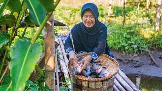 Cooking Mangut Big Pomfret and Picking Papaya Leaves in the Garden | Stir-fried Papaya Leaves,