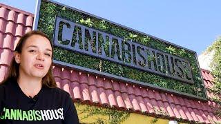 How KayaPush fueled Cannabis House's Expansion