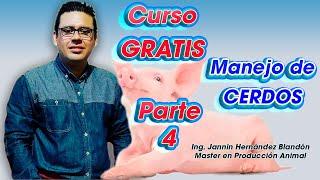 Free Course Pigs Part 4 Final ǀ Eng. Jannin Hernández Blandón MSc.