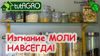 МОЛЬ - УХОДИ ВОН! ПРОГОНИМ МОЛЬ! Простейшее средство против МОЛИ!