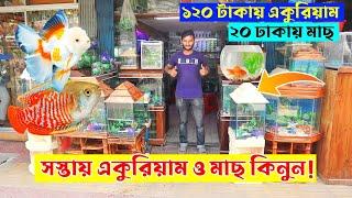 Aquarium price in Bangladesh 2024  Aquarium fish price in Bangladesh || buy aquarium in cheap price