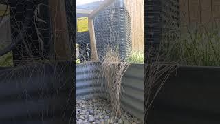 Evcon Air Conditioner (basement window shot)