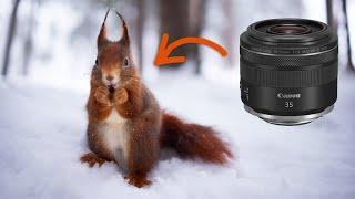 Canon RF 35mm f/1.8 - MUST-HAVE Objektiv für Naturfotografen?