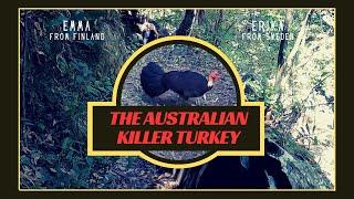 My original short film: The Australian Killer Turkey