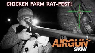 The Airgun Show | Chicken Farm Rat Shooting | Weihrauch HW98 air rifle review