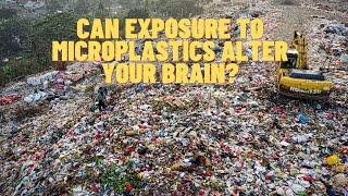 Does exposure to micro plastics impact your brain?