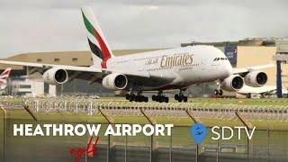 Heathrow Airport Live  - EGLL-LHR -  22nd November 2024