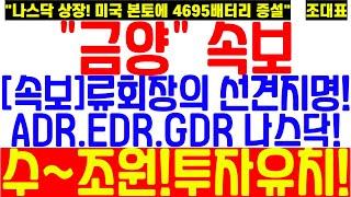 [금양] "긴급속보" 류광지 회장의 선견지명! ADR,EDR,GDR 나스닥 상장! 4695배터리 "미국 본토" 증설! 꿈은 이루어 진다!