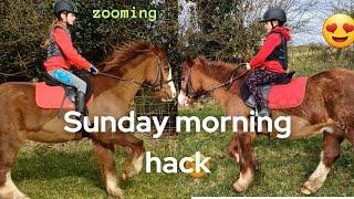 Sunday morning hack #pony#equestrian