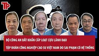 Khởi tố, bắt khẩn cấp loạt lãnh đạo Tập đoàn Công nghiệp Cao su Việt Nam: Hé lộ vụ án nghiêm trọng