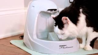 PetSafe Drinkwell Platinum Cat Fountain