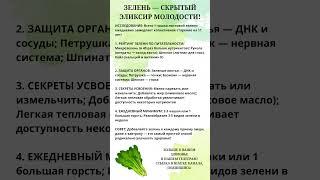 Зелень - скрытый эликсир молодости #правильноепитание #пп