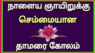 🪷நாளைய ஞாயிறுக்கு செம்மையான தாமரை கோலம் போடுங்க 🪷lotus kolam 🪷 Sunday kolam 🪷 தாமரை கோலம் 🪷 muggulu