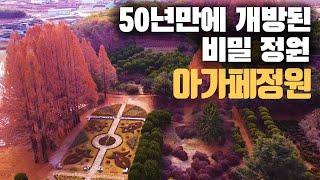 50년간 비밀의 공간이었던 아름다운 유럽식 정원 '아가페정원'