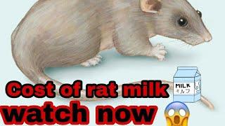 Cost of rat milk is ⬆️ #shorts