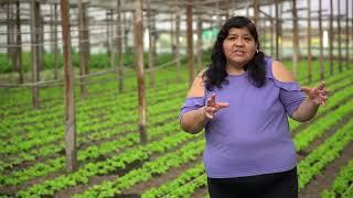 Trabajo infantil en Argentina. Historias de vida del mundo rural: Lidia Fernandez