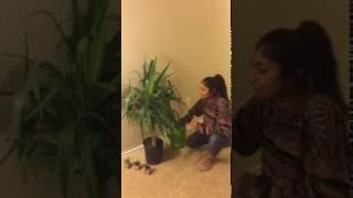 Peer Advisor Submission Video: Anaya Shah