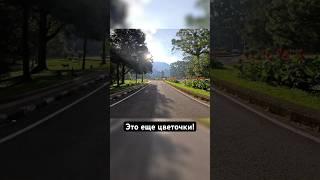 ИНСТАГРАМНЫЕ места на БАЛИ #путешествия