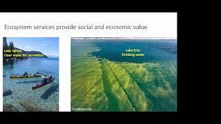 Webinar: Ecological and economic impacts of spiny waterflea infestation of Lake Mendota