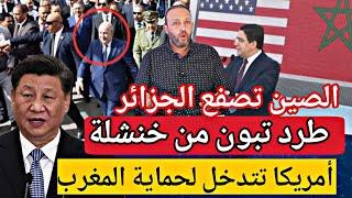 الشعب الجزائري يطرد تبون من خنشلة/الصين تمنعه من حضور القمة العربية/أمريكا تتدخل لحماية المغرب