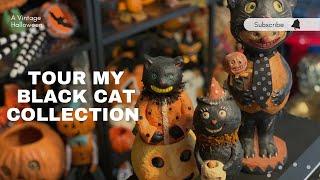Tour My Black Cat Collection
