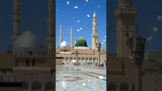 Naat - Haal e Dil - Zohaib Ashrafi - Video SHARE This Beautiful "Naat" Subscribe Our Channel