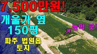 [계약완료] 7천만원대! 깨끗한 물길 옆 농막 설치 가능한 파주 법원읍 직천리 토지