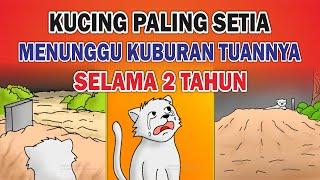 Kisah Kucing Sedih MENUNGGU KUBURAN TUANNYA SELAMA 2 TAHUN Part 04