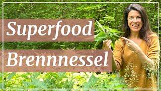 Superfood Brennnessel: Darum ist sie besser als Spinat | SOMA Institut