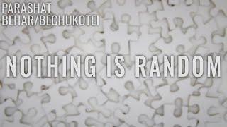 Parashat Behar/Bechukotei 5782: Nothing is Random