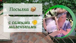 Распаковка посылки с самыми маленькими .