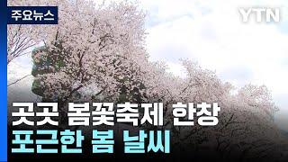 [날씨] 봄기운 가득, '벚꽃 축제' 한창...주말, 맑고 포근 / YTN